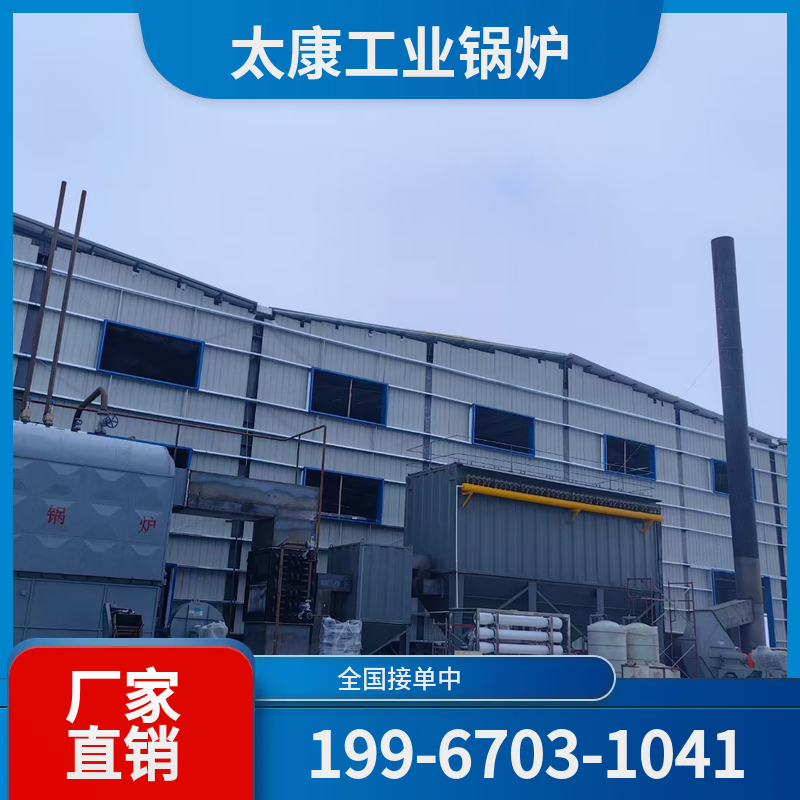 青岛燃煤导热油锅炉